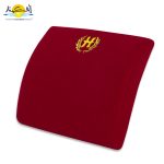 2 پشت کمری خودرویی هوشمند 